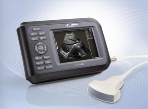 Fournisseurs et fabricants et usine de scanner à ultrasons de graisse  dorsale numérique d'équipement vétérinaire à bas prix en Chine - FOREVER  MEDICAL